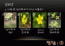 식물 20페이지