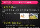 성매매, 6페이지