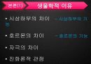 성매매, 10페이지