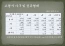 노인과_주택_피피티 9페이지