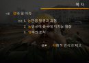개혁개방의그림자_농민공[1] 2페이지