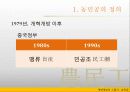 개혁개방의그림자_농민공[1] 11페이지