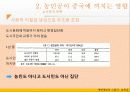 개혁개방의그림자_농민공[1] 42페이지