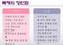 목재의 공기정화 5페이지