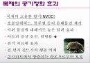목재의 공기정화 6페이지