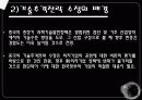 중국경영 (中國經營 花鬪) 12페이지