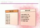 세꼐의축제와문화 40페이지