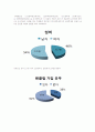 팬덤문화 13페이지