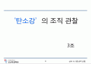 탄소강의 조직 관찰 1페이지