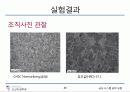 탄소강의 조직 관찰 23페이지