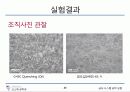 탄소강의 조직 관찰 25페이지