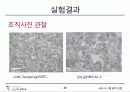 탄소강의 조직 관찰 26페이지