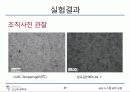 탄소강의 조직 관찰 27페이지