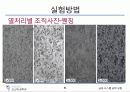 탄소강의 조직 관찰 31페이지