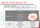 Nature of Service 34페이지