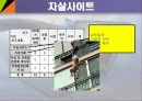 유해사이트 현황 5페이지