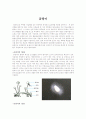 곰팡이에 대해서 1페이지