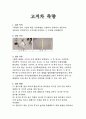 고저차 측량 1페이지