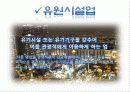 유원시설업의 성공사례  2페이지