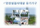 유원시설업의 성공사례  5페이지