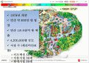 유원시설업의 성공사례  9페이지