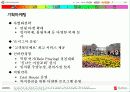 유원시설업의 성공사례  15페이지