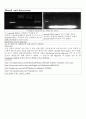 Screening 3페이지