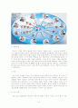 [ 2010 서울 G20 정상회의 ] 7페이지