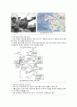 한국전쟁과정 - 북한 남침 ~ 38선 회복 5페이지