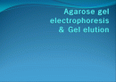 Agarose gel electrophoresis ＆ Gel elution - 전기영동 1페이지