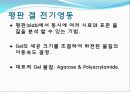 Agarose gel electrophoresis ＆ Gel elution - 전기영동 5페이지