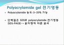 Agarose gel electrophoresis ＆ Gel elution - 전기영동 6페이지