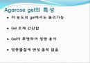 Agarose gel electrophoresis ＆ Gel elution - 전기영동 8페이지