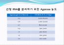 Agarose gel electrophoresis ＆ Gel elution - 전기영동 9페이지