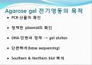 Agarose gel electrophoresis ＆ Gel elution - 전기영동 10페이지