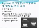 Agarose gel electrophoresis ＆ Gel elution - 전기영동 11페이지