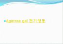 Agarose gel electrophoresis ＆ Gel elution - 전기영동 13페이지