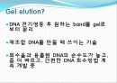 Agarose gel electrophoresis ＆ Gel elution - 전기영동 15페이지