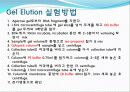 Agarose gel electrophoresis ＆ Gel elution - 전기영동 17페이지