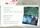 TV뉴스의 자극적 보도 양태의 문제점 3페이지