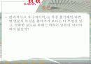 TV뉴스의 자극적 보도 양태의 문제점 10페이지