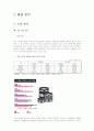 [마케팅 전략 보고서] 하이브리드 디카 - Sony NEX 3 4페이지