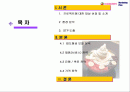 아이스 베리의 마케팅 전략 (Iceberry Marketing Plan) 2페이지