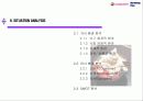 아이스 베리의 마케팅 전략 (Iceberry Marketing Plan) 3페이지