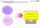 아이스 베리의 마케팅 전략 (Iceberry Marketing Plan) 4페이지