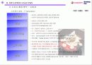 아이스 베리의 마케팅 전략 (Iceberry Marketing Plan) 7페이지
