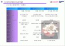 아이스 베리의 마케팅 전략 (Iceberry Marketing Plan) 11페이지