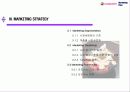 아이스 베리의 마케팅 전략 (Iceberry Marketing Plan) 15페이지