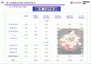 아이스 베리의 마케팅 전략 (Iceberry Marketing Plan) 17페이지