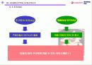 아이스 베리의 마케팅 전략 (Iceberry Marketing Plan) 21페이지
